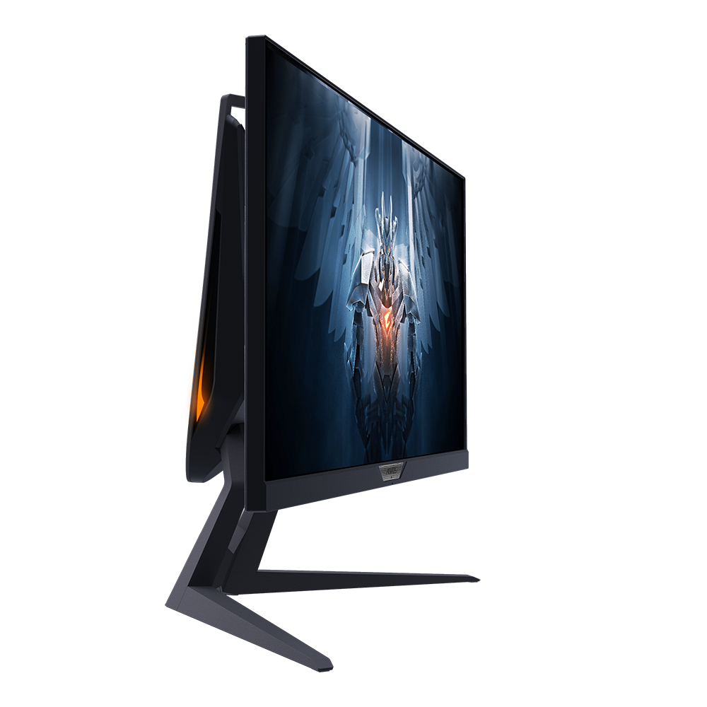 Gigabyte AORUS FI25F Gaming Monitor